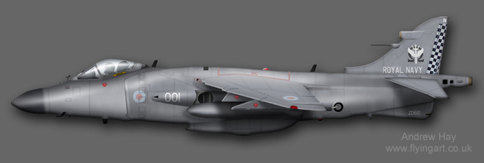 Sea Harrier FA.2 ZD610 801 NAS